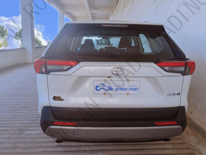 Ocean Rav 4 Toyota RAV4 2.0L 20th Anniversary Platinum version – Ocean Road